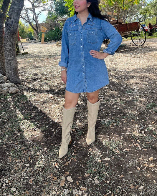 Dakota Denim Western Dress