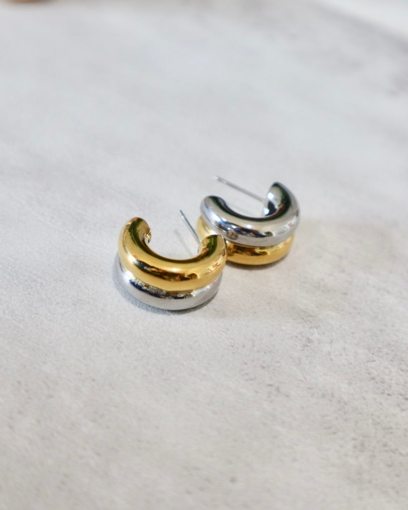 Rogan Two Toned Earrings