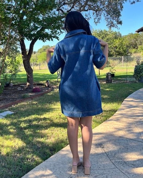 Layne Denim Dress