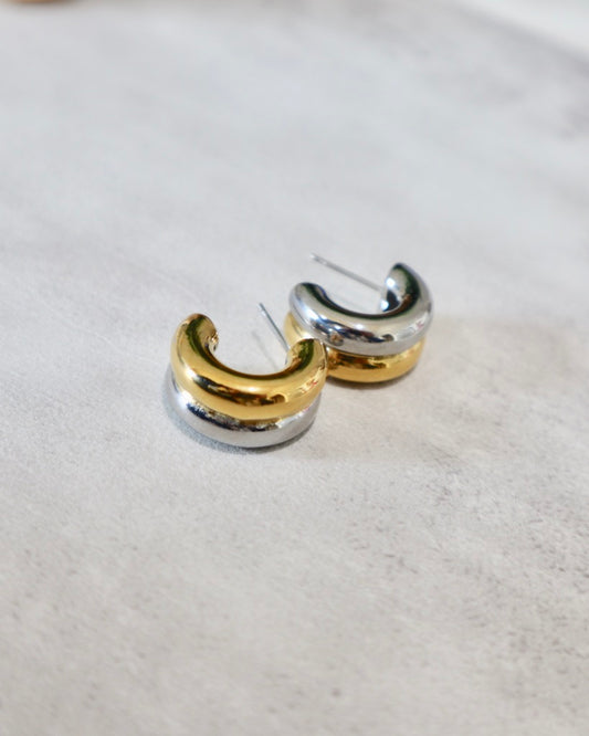 Rogan Two Toned Earrings